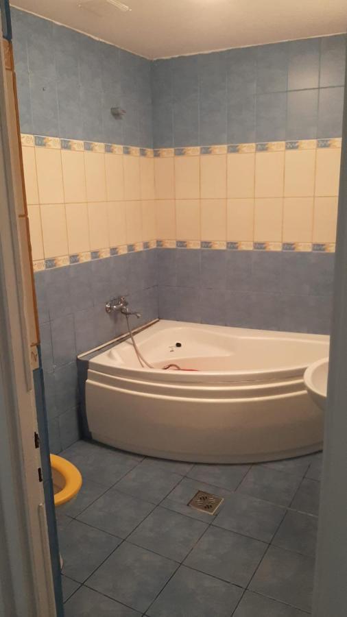 The Historical Family House-Cluj Napoca Center Apartment Ngoại thất bức ảnh