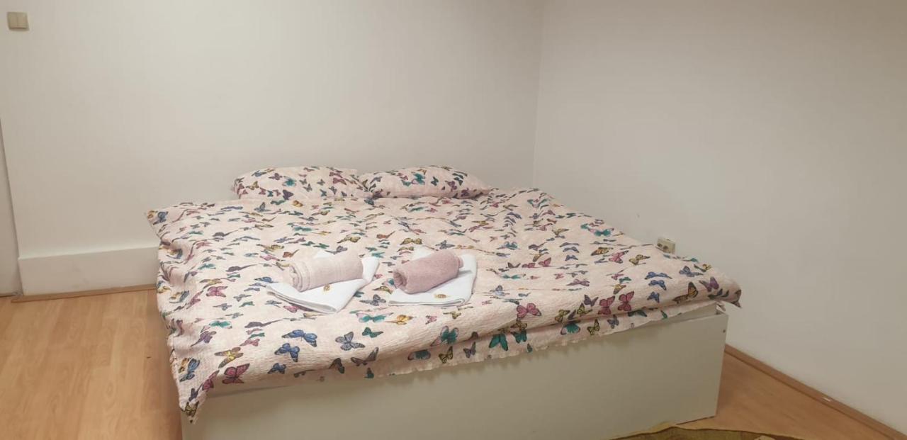 The Historical Family House-Cluj Napoca Center Apartment Ngoại thất bức ảnh